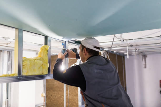 Best Soundproof Insulation Installation  in Missouri City, TX